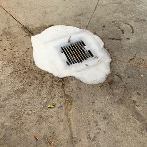 Meet your Posher, Caesar